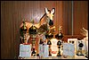 IMG_6035.JPG